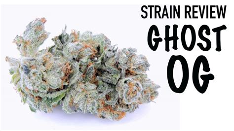 ghost og strain review.